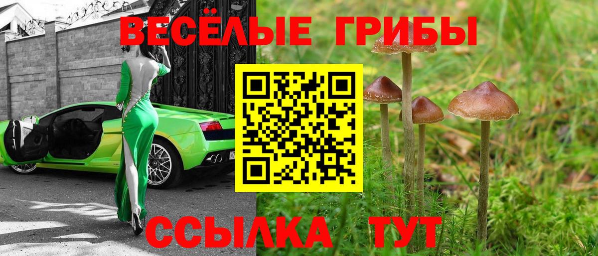 Галлюциногенные грибы Magic Shrooms Алейск