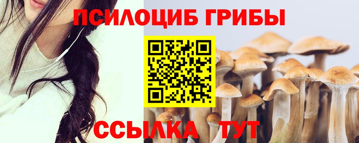 Галлюциногенные грибы мухоморы  Вход с VPN  Псилоцибиновые грибы Psilocybine cubensis  Алейск 
